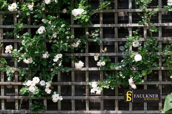 Can I put trellis on my Neighbours garage wall? 2 Do you want to adapt your neighbours garage door and add a trellis Colchester? Talk to Faulkner Surveyor Colchester